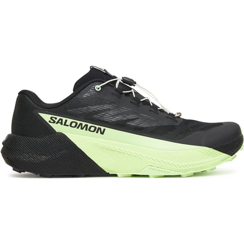Laufschuhe Salomon Pulsar L47887800 Schwarz