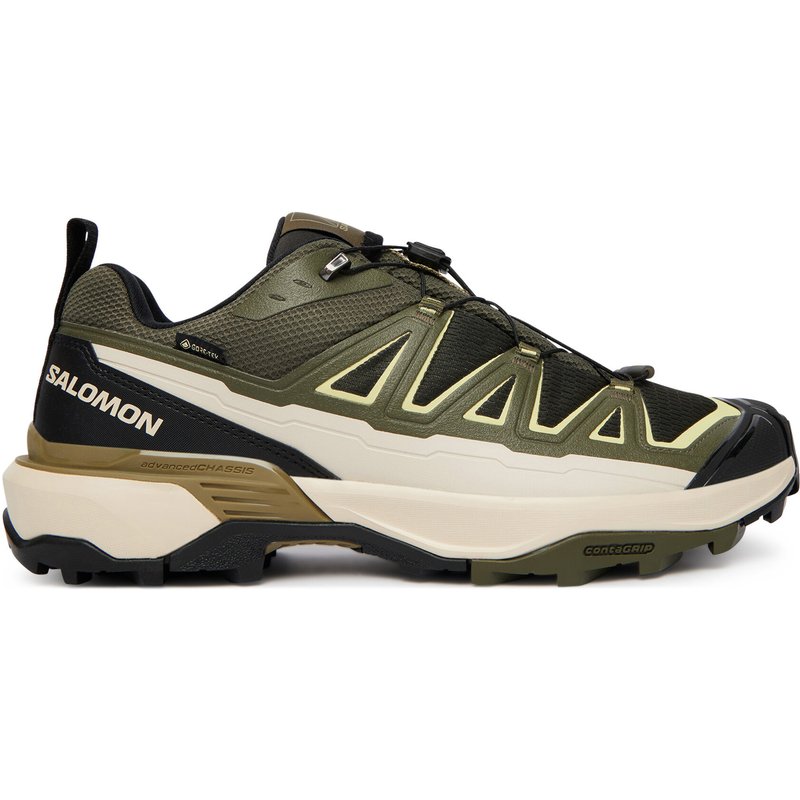 Trekkingschuhe Salomon X Ultra 360 Edge Gtx L49097900 Grün