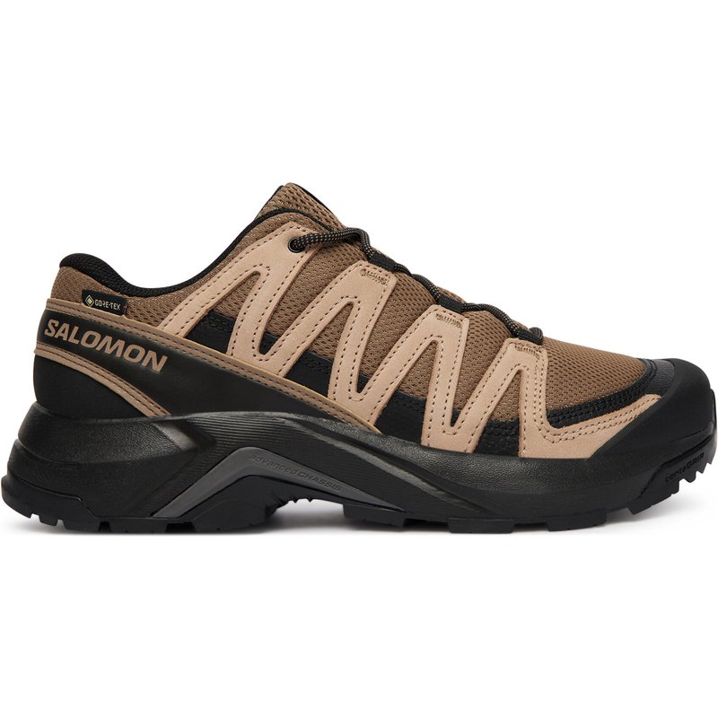 Trekkingschuhe Salomon X-Adventure Recon Gtx L49096000 Braun