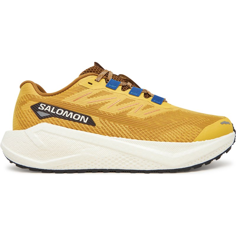 Laufschuhe Salomon Aero Blaze 3 Grvl L47974200 Gelb