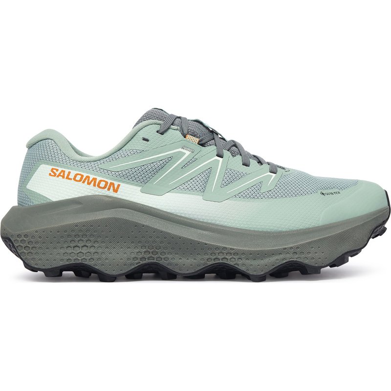 Laufschuhe Salomon Ultra Flow 2 Gtx GORE-TEX L45473900 Grün