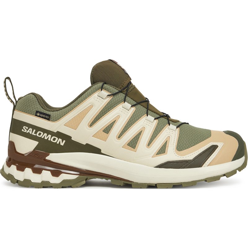 Trekkingschuhe Salomon Xa Pro 3D V9 Gore-Tex L47820200 Grün