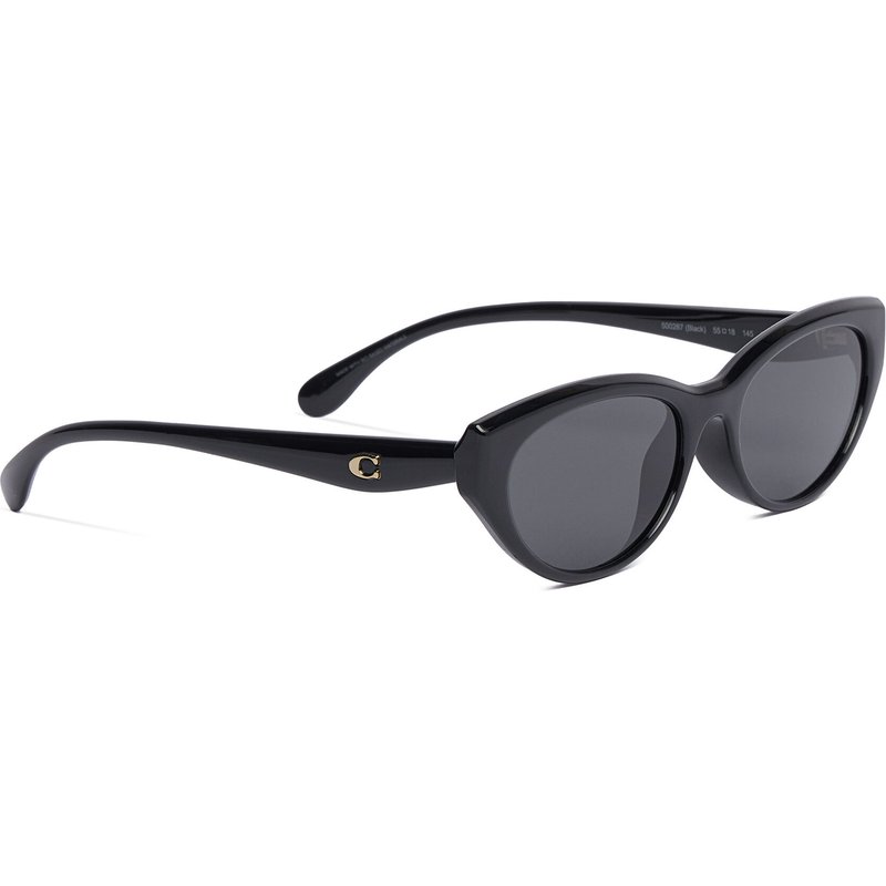 Sonnenbrillen Coach 0HC8456D 500287 Schwarz