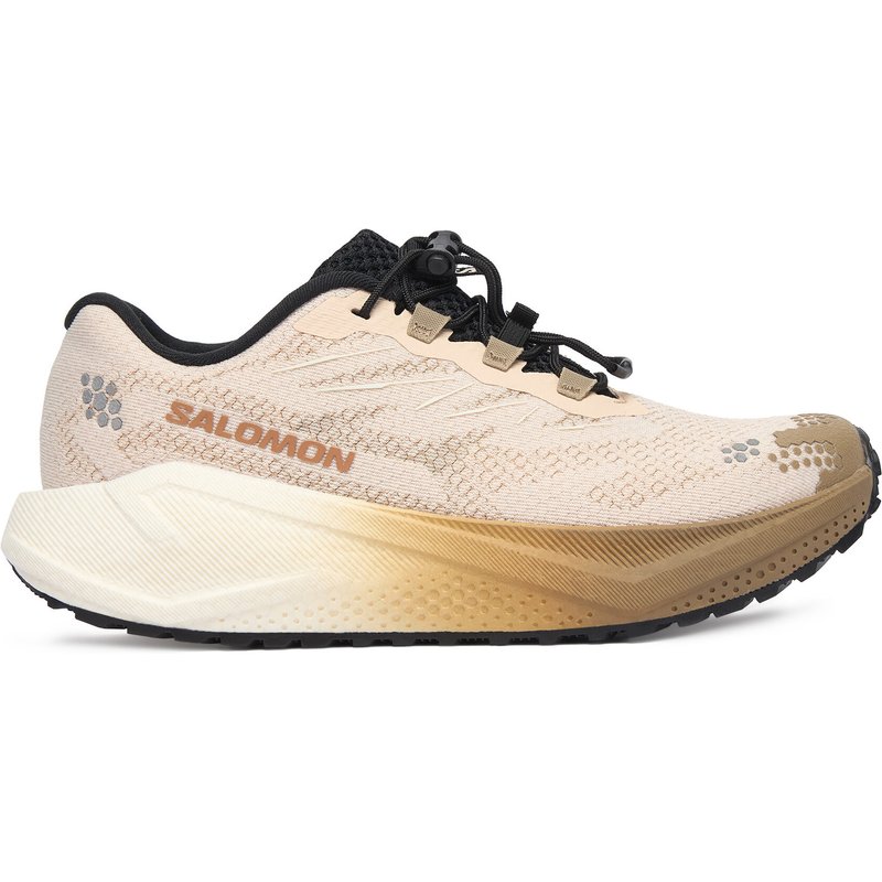 Laufschuhe Salomon Aero Blaze 4 L45401900 Beige