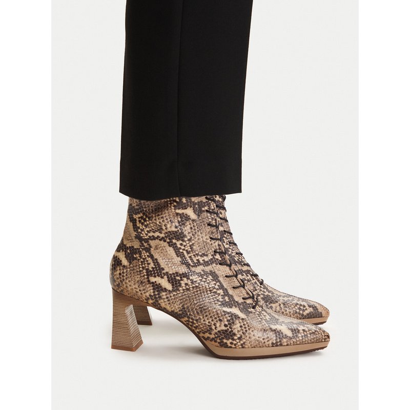 Schnürschuhe Hispanitas HI254379 Braun