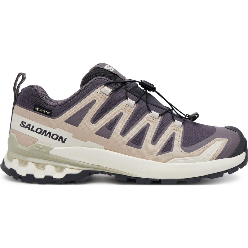 Trekkingschuhe Salomon Xa Pro 3D V9 Gore-Tex L47744700 Violett