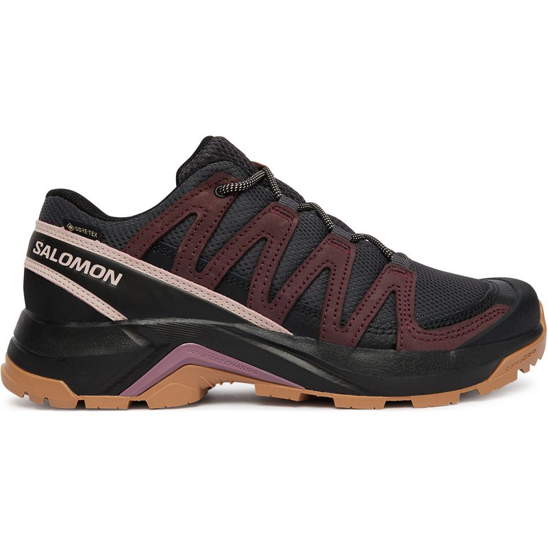 Trekkingschuhe Salomon X-Adventure Recon Gtx L49096600 Braun