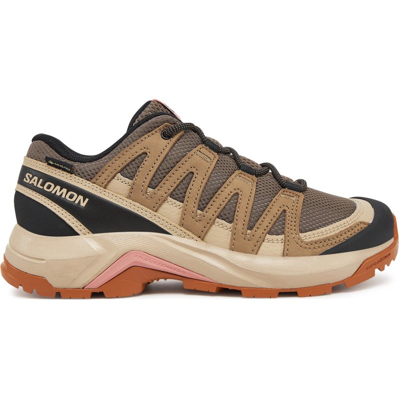 Trekkingschuhe Salomon X-Adventure Recon Gore Tex L47815500 Braun