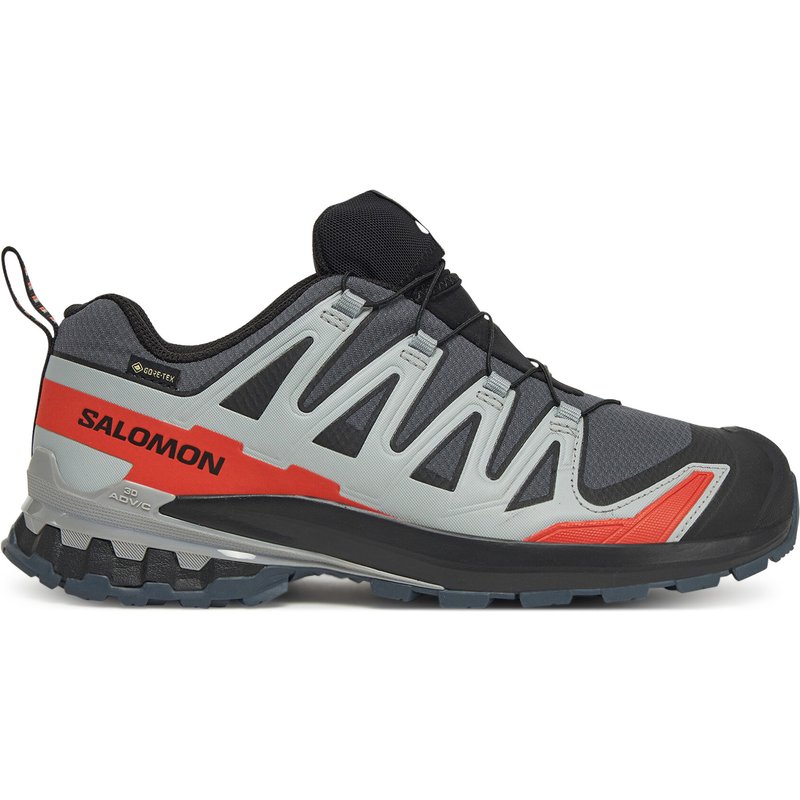 Trekkingschuhe Salomon Xa Pro 3D V9 Gore-Tex L47817500 Grau