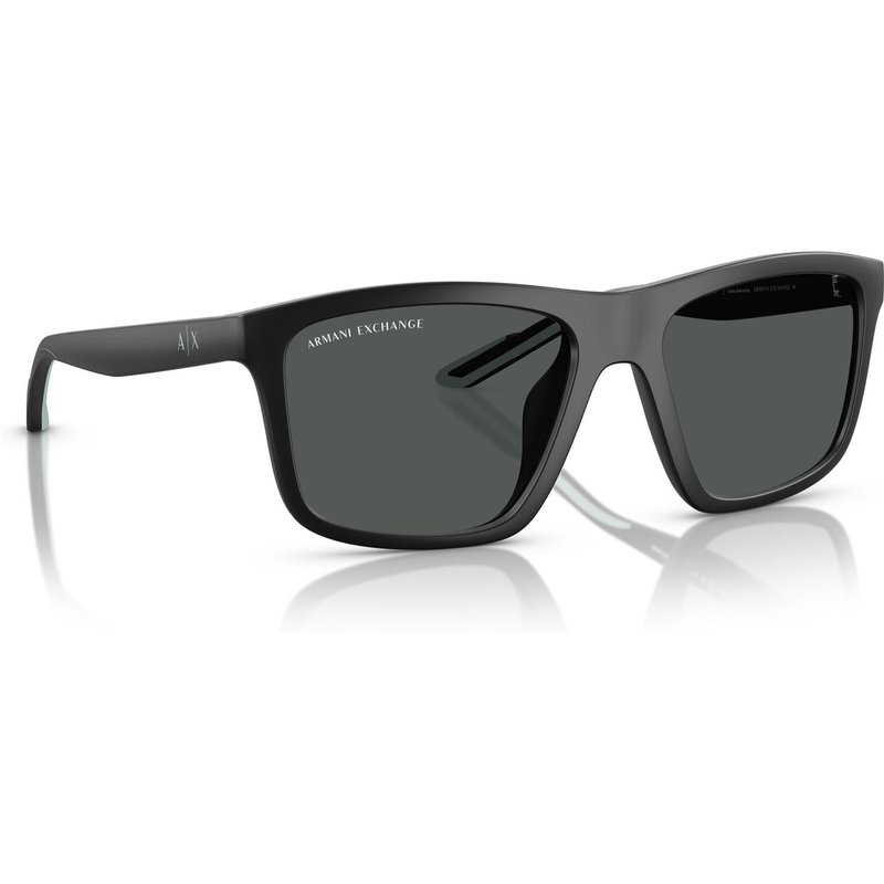 Sonnenbrillen Armani Exchange 0AX4149SU 56 805887 Schwarz