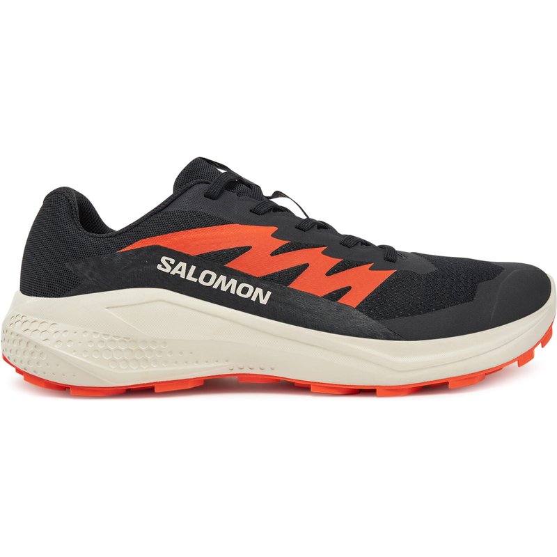 Laufschuhe Salomon Alphaglide L47801100 Schwarz