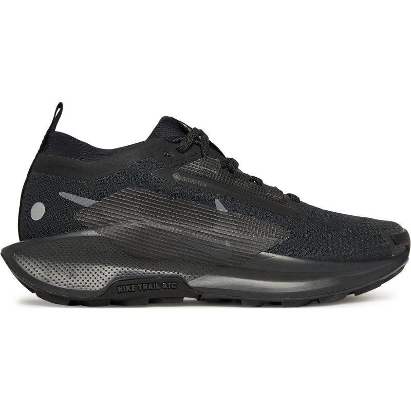 Laufschuhe Nike W Pegasus Trail 5 Gtx FQ0912 002 Schwarz