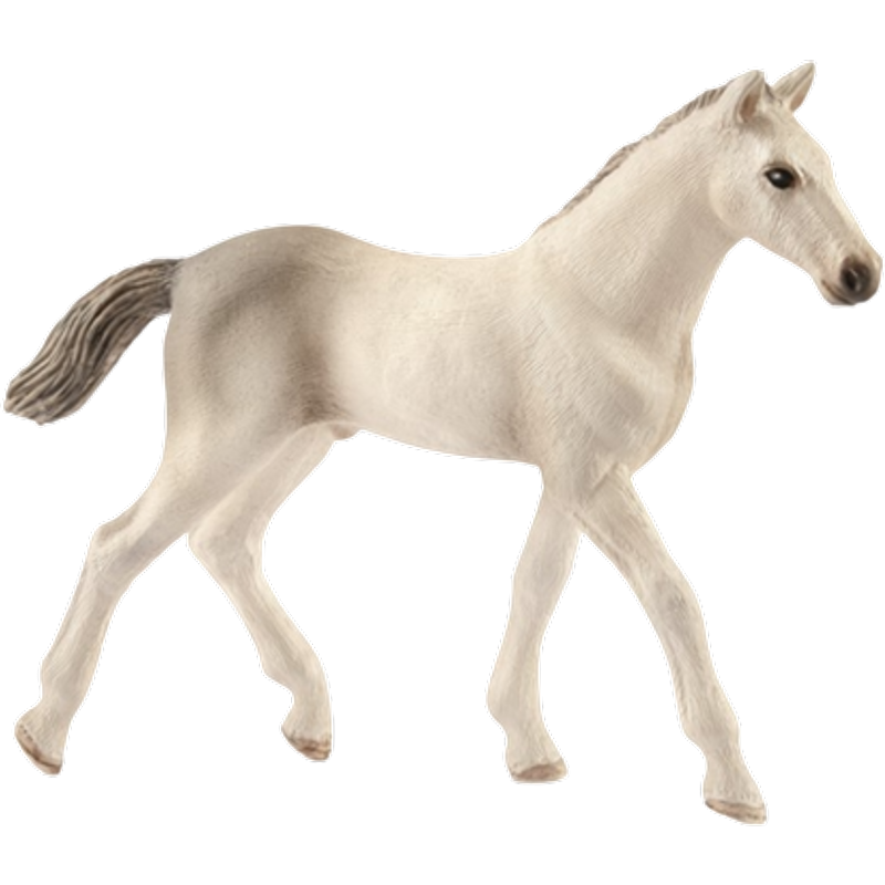 Schleich Puledro Holsteiner 13860