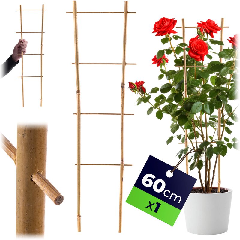 Drabinka bambusowa do roślin 60 cm 1 szt.