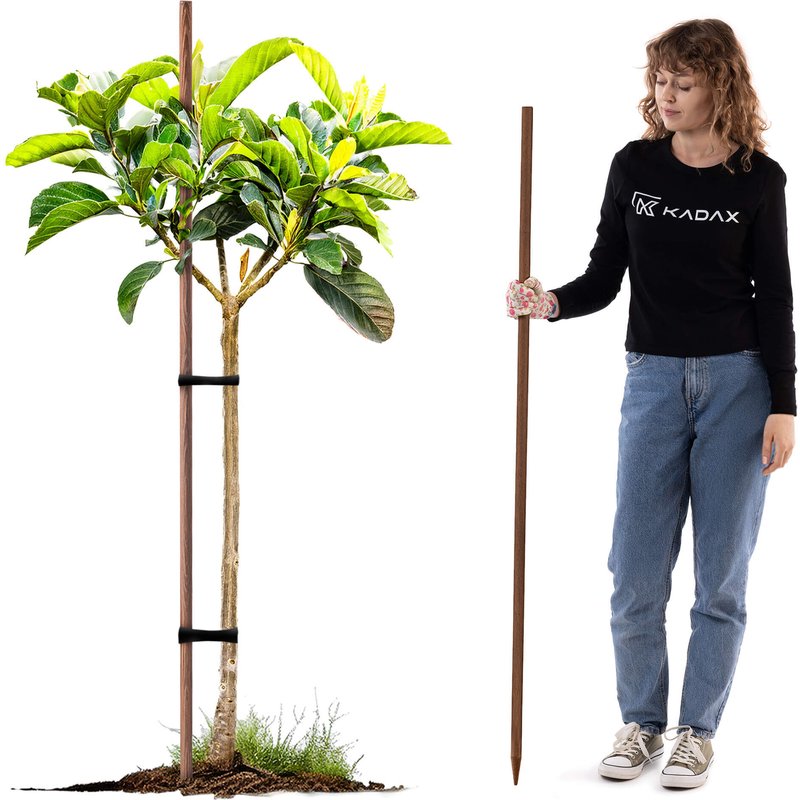 Podpora do roślin drewniana Tarup palik 28 mm x 150cm 1 szt.