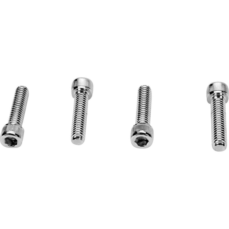 MK140 - Drag Specialties Bolt Set For Harley Davidson FL 1200 1974-1977 - Silver
