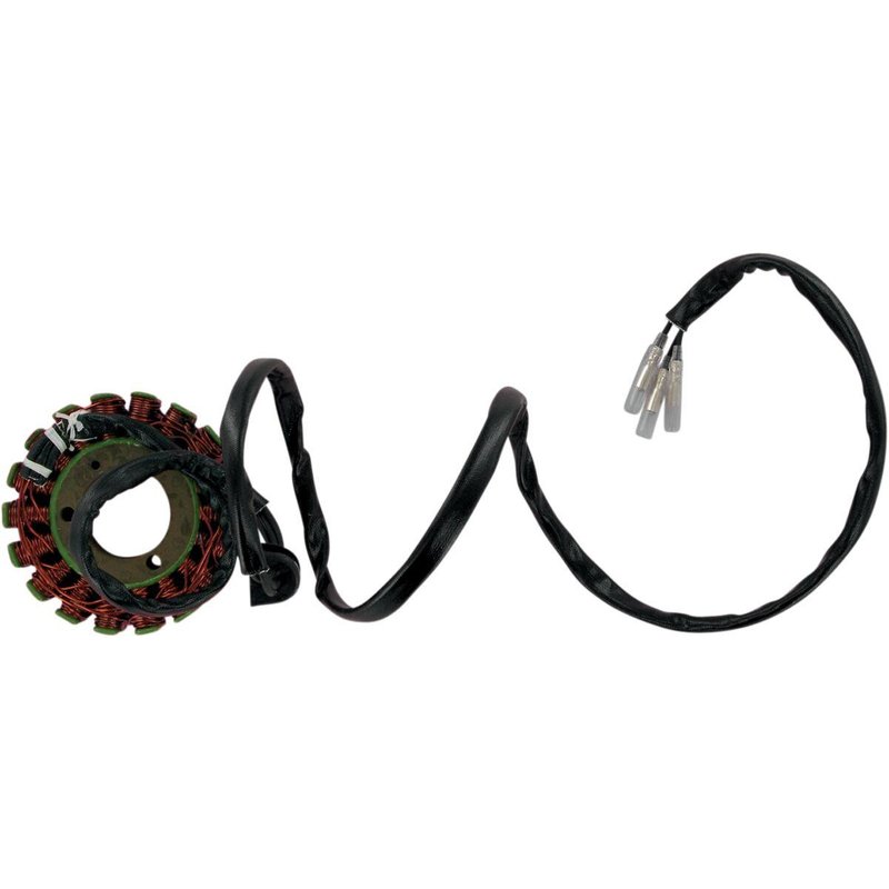 21-302 - 21-302 - Ricks Stator - Suzuki GS 850 G 1979-84