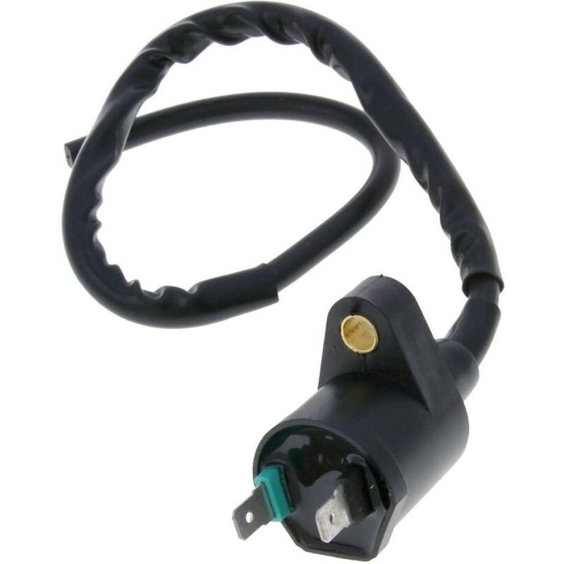 IP32532 - 101 Octane Ignition Coil For TGB 101R 50 2006-2011