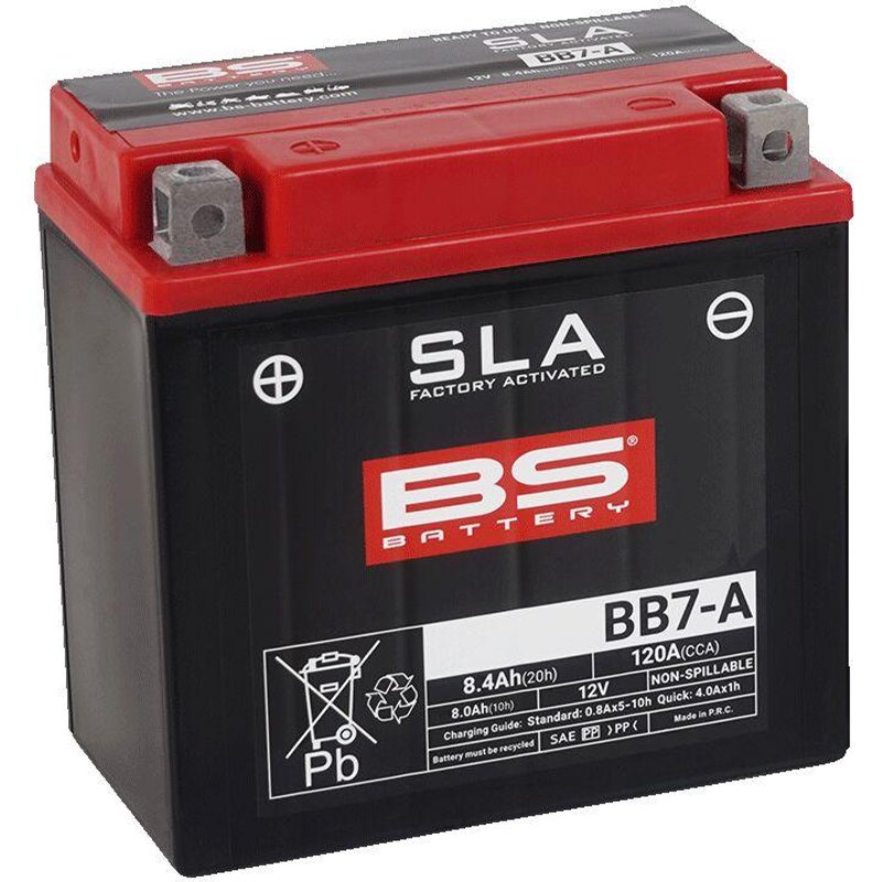 300850 - BS Battery SLA AGM Battery For Explorer ARGON 330 2X4 2012-2013 - Black