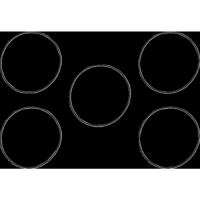 JGI-25416-99 - James Derby/Inspection Cover Seal Kit For Harley Davidson FLHR 1450 1999-2003
