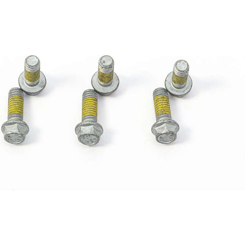 MSS146-6 - TRW Brake Disc Bolt Set For KTM Adventure 1190 2013-2016 - Silver/Stainless Steel