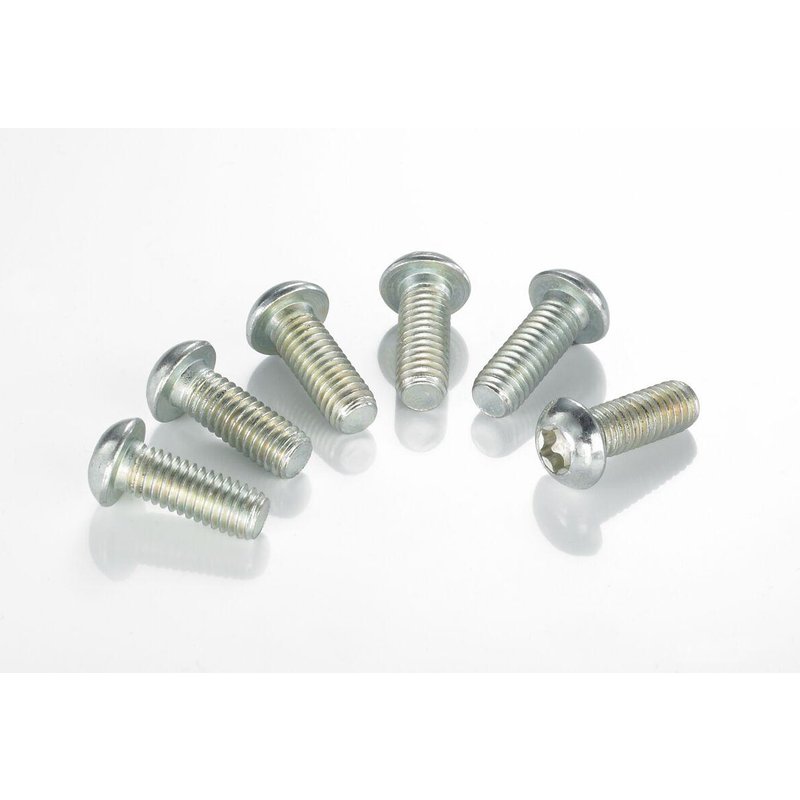 MSS130-5 - TRW Brake Disc Bolt Set For Harley Davidson FLD 1690 2012-2013 Front