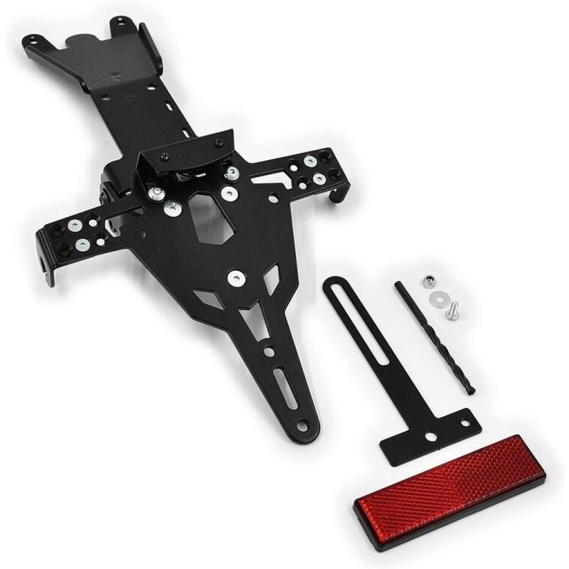 10000292 - Zieger PRO Tail Unit Type A For Ducati Panigale 1199 2012-2013 Rear Clear