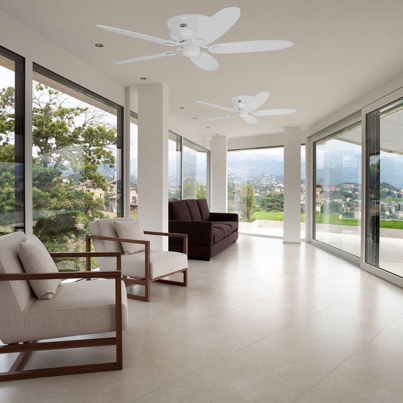 Hunter Low Profile III ventilateur blanc/érable