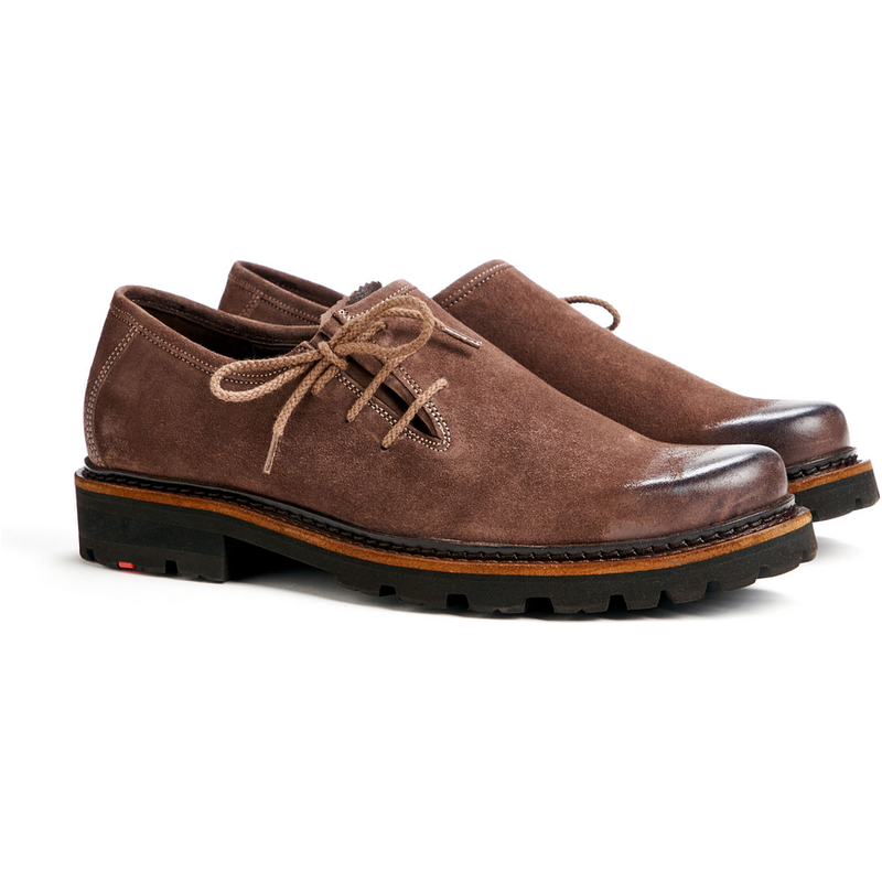 Lloyd | Braun | 40 | Rauleder | Xaver