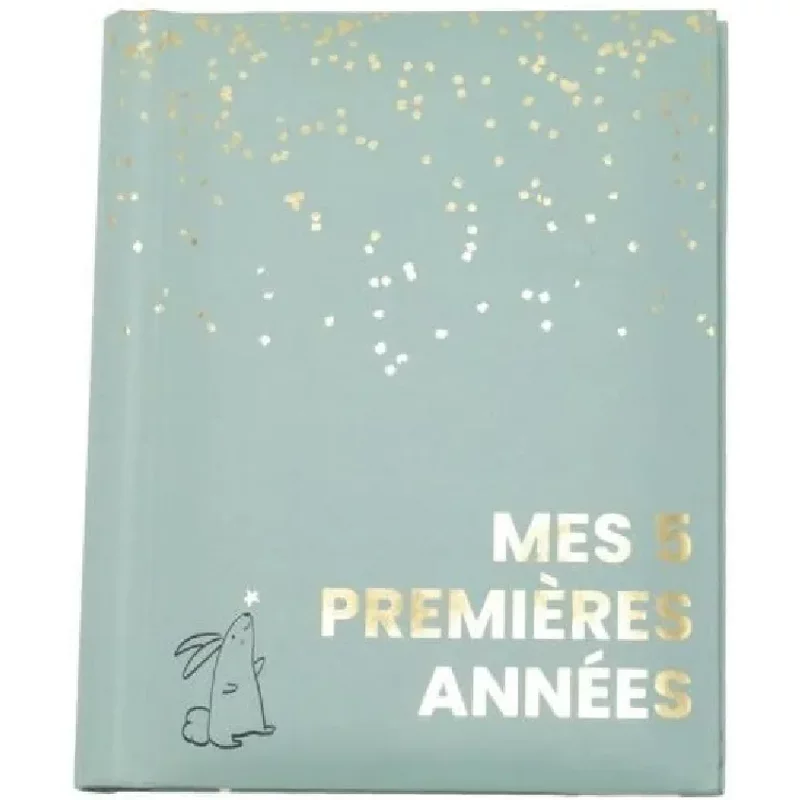 Livre naissance - DOMIVA - Sauge Gold - 5 premieres années - 100 pages illustrées