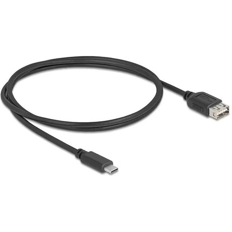 DeLock USB-C / USB-A 2.0 - 1 m
