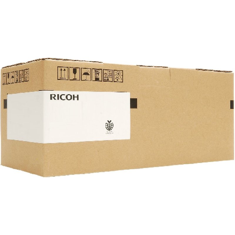 Ricoh D0294580 printer/scanner spare part 1 pc(s)