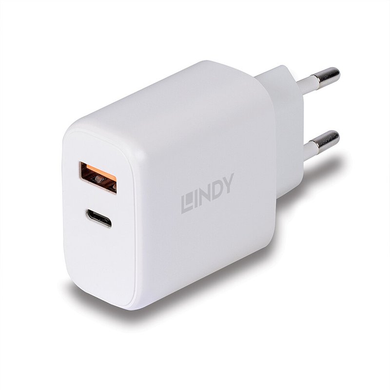 Lindy 73424 mobile device charger Universal White AC Fast charging Ind