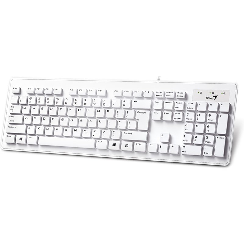 Genius Computer Technology Slimstar 130 keyboard Office USB QWERTY Eng