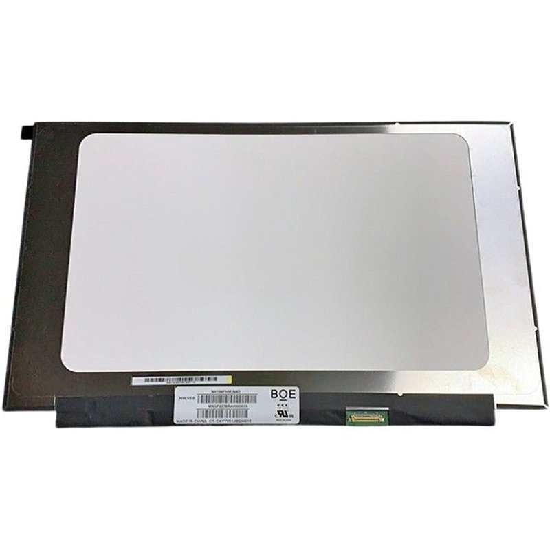 CoreParts MSC156F30-212G laptop spare part Display