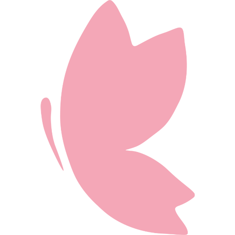 BB Crème Clair 40 ml