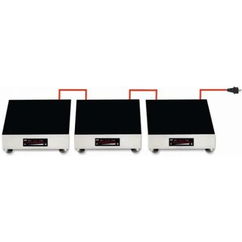 Berner BI2W Induction Buffet Warmer