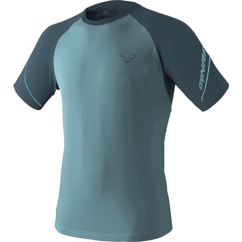 Dynafit Herren Alpine Pro T-Shirt