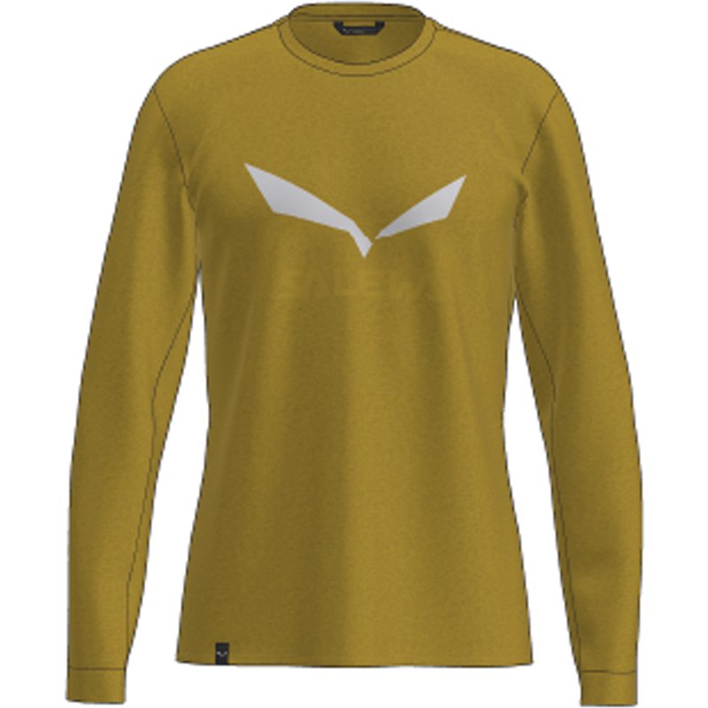 Salewa Herren Solidlogo DRY Longsleeve