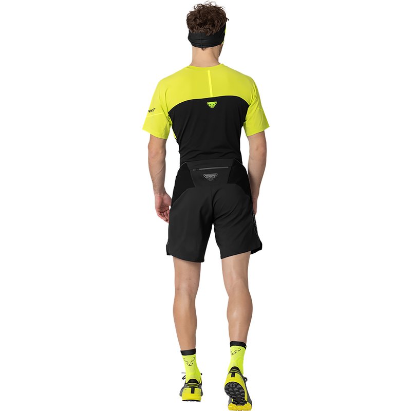Dynafit Herren Alpine Pro 2/1 Shorts