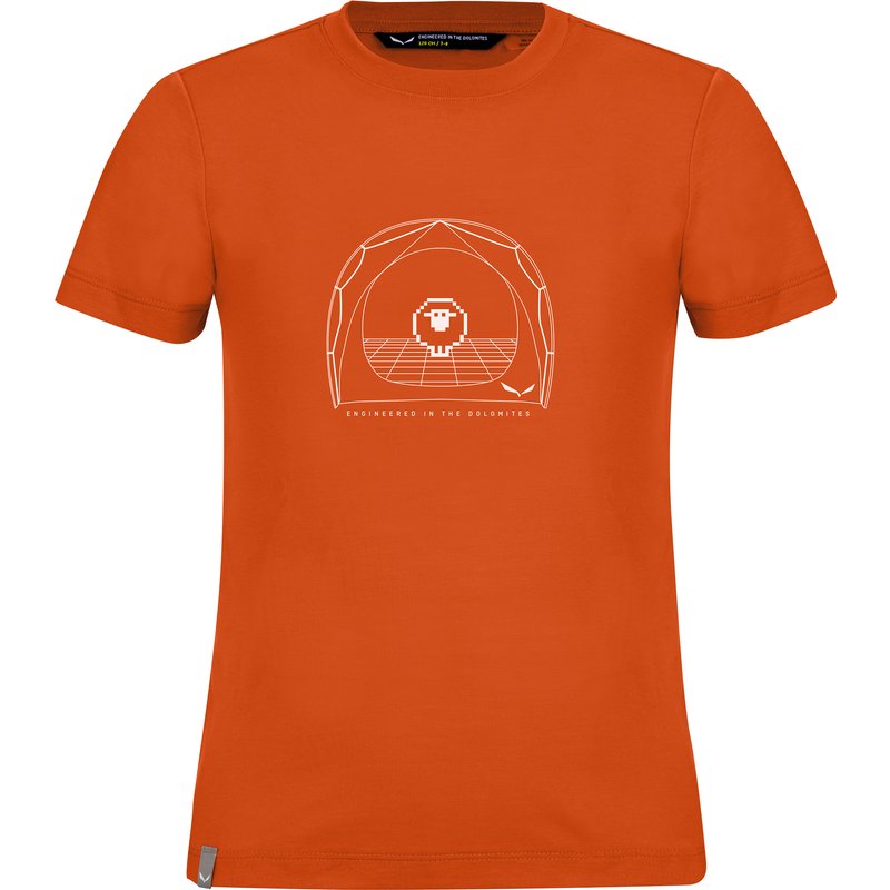 Salewa Kinder Graphic Dry S/S T-Shirt