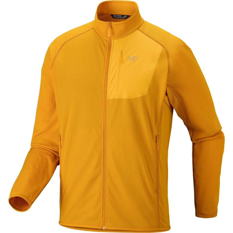 Arc'teryx Herren Delta Jacke