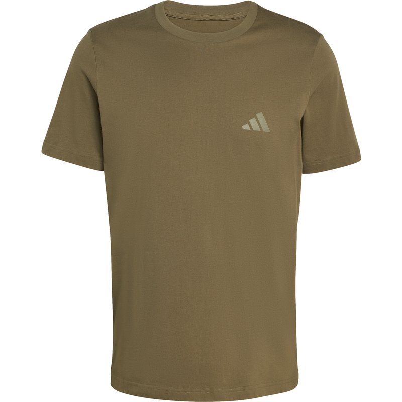 adidas Terrex Herren Graphic T-Shirt