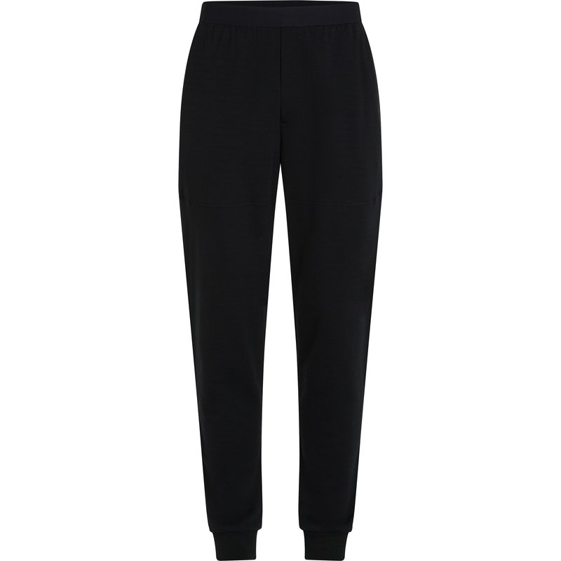 Icebreaker Herren 300 RealFleece Descender Jogger Hose