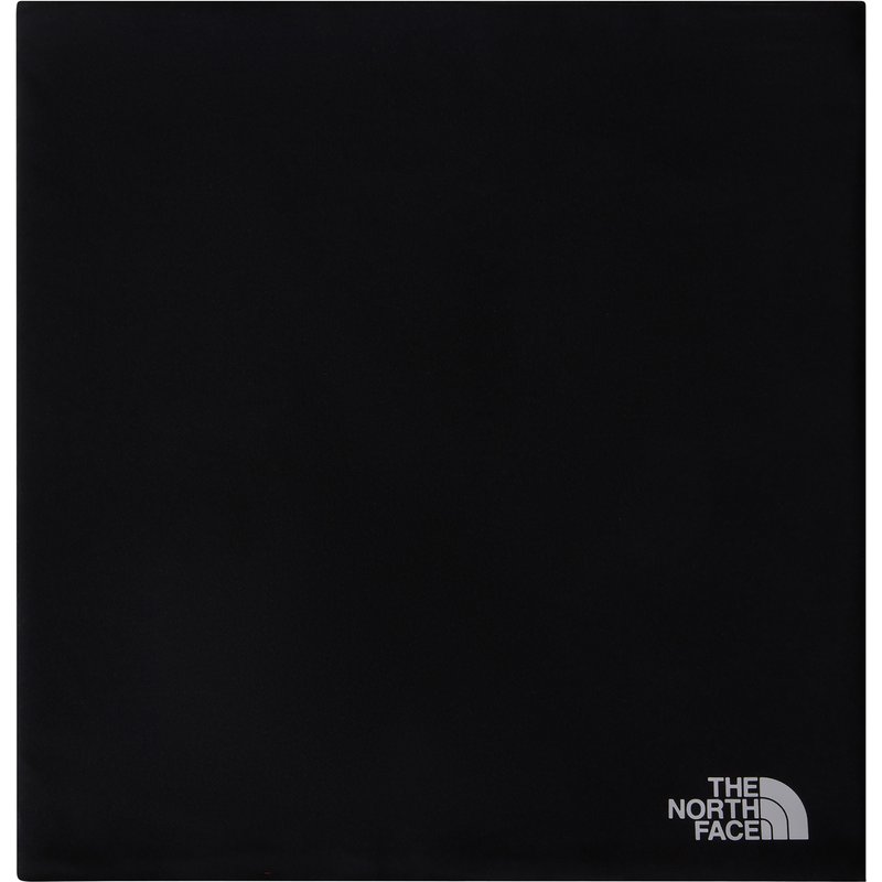The North Face Base Lined Schlauchtuch