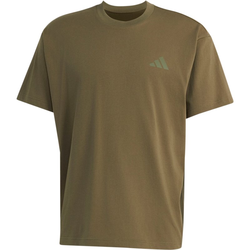 adidas Terrex Herren Elements Graphic T-Shirt