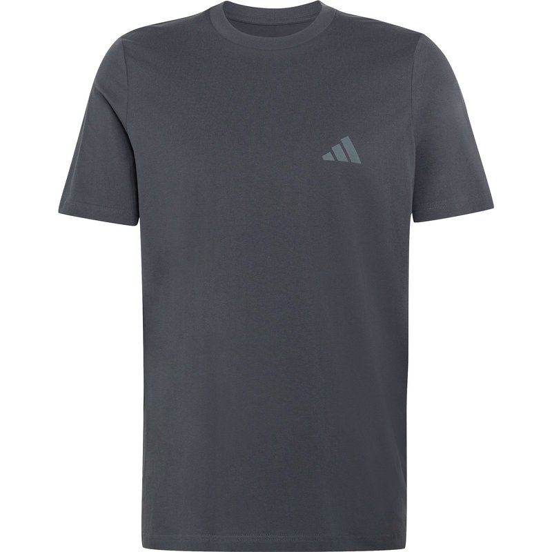 adidas Terrex Herren Mountain Graphic T-Shirt