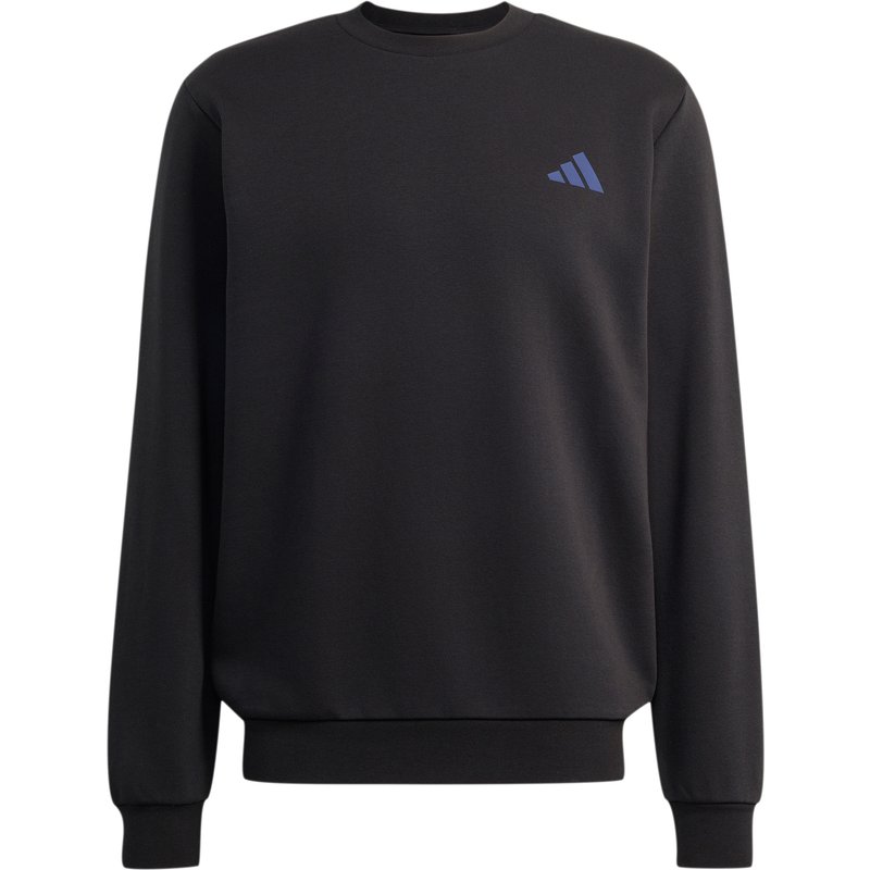 adidas Terrex Herren Snow Sport Graphic Pullover