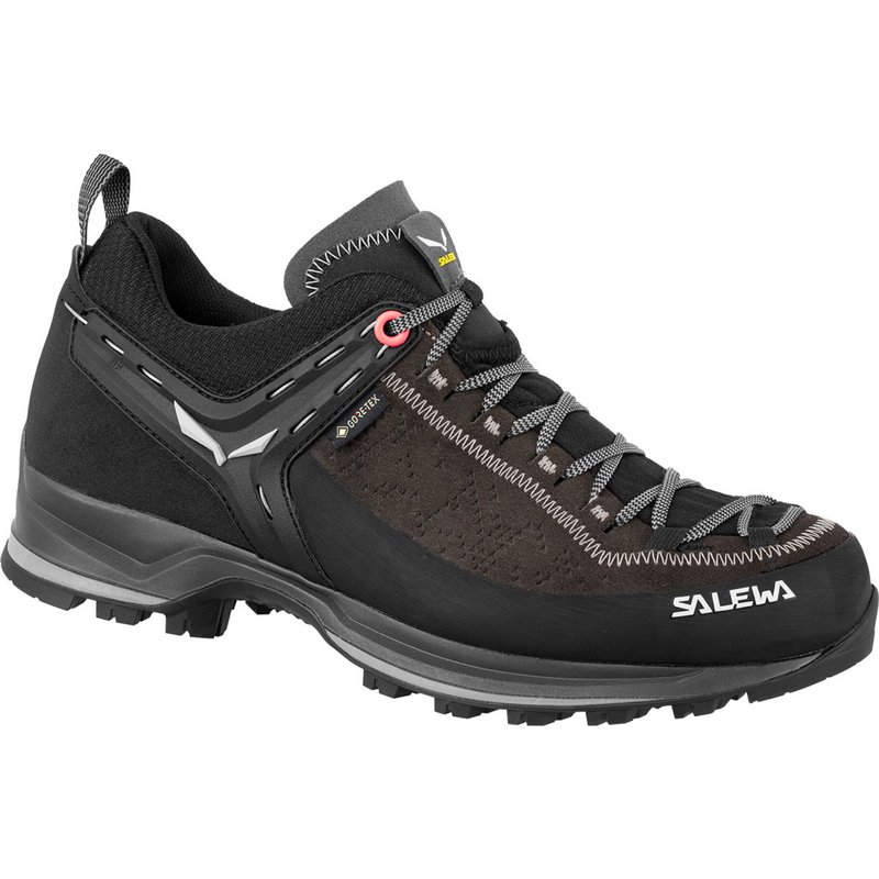 Salewa Damen MTN Trainer 2 GTX Schuhe