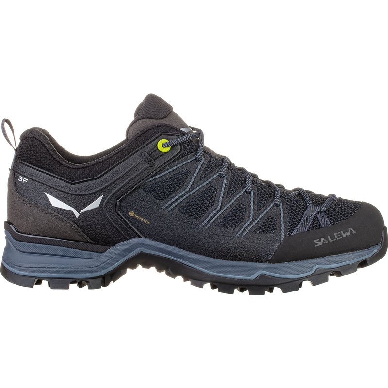 Salewa Herren MTN Trainer Lite GTX Schuhe